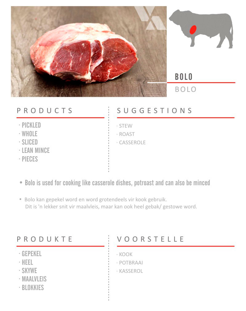 Bolo