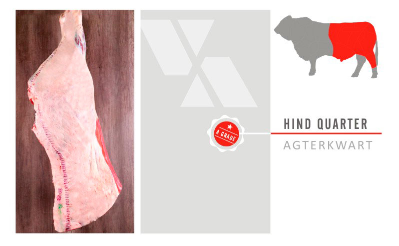Hind Quarter