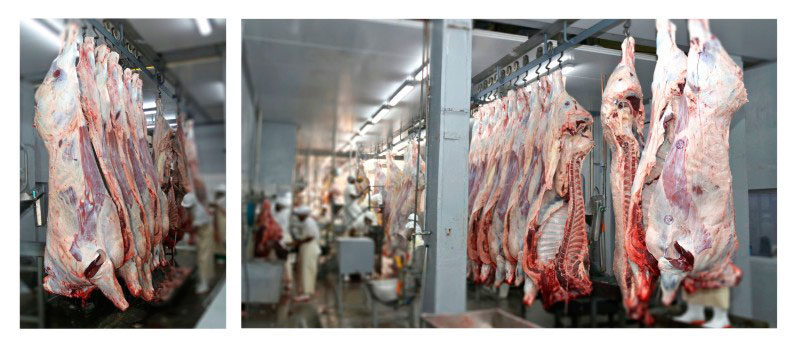 Vryburg Abattoir 